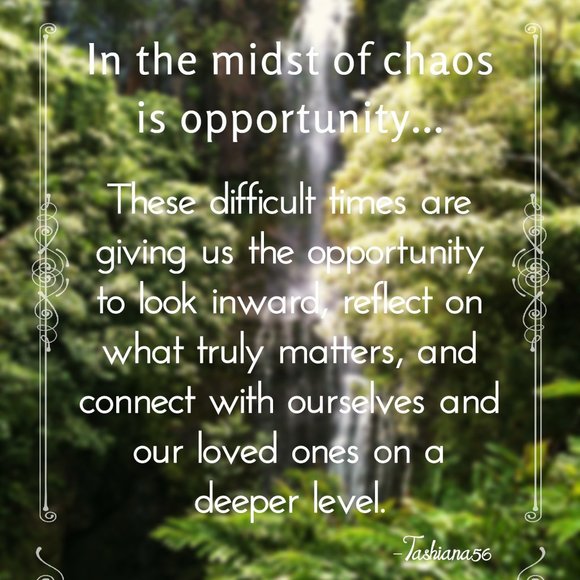 🌴 THE ROAD TO HANA IN MAUI - Picture 2 of 7